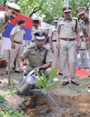 delhi police commissioner planted tree