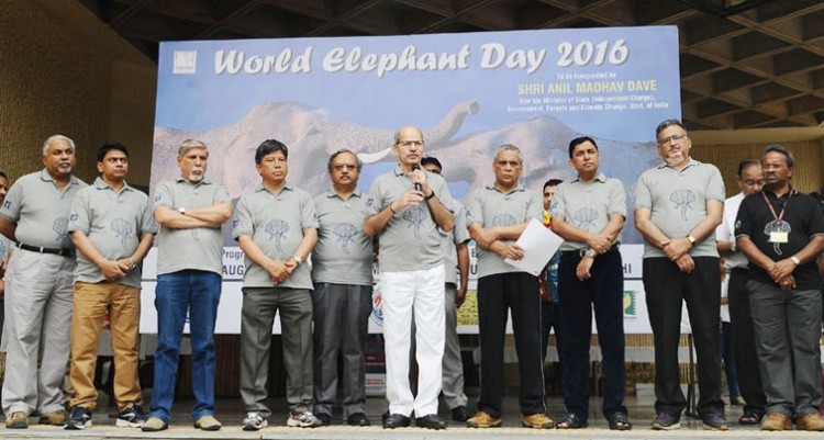 anil madhav dave, world elephant day