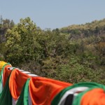 वाइल्डलाइफ एलिवेटेड कॉरिडोर