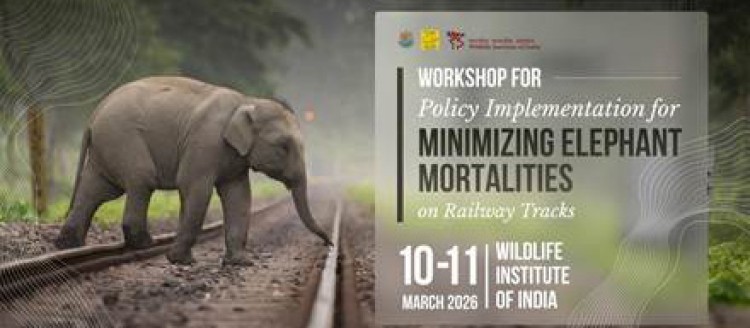 national workshop on prevention of elephant-train collisions in wildlife areas