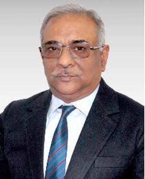 alok johri