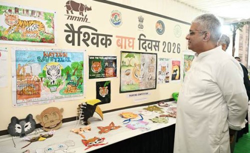 celebrating tiger conservation achievements in india