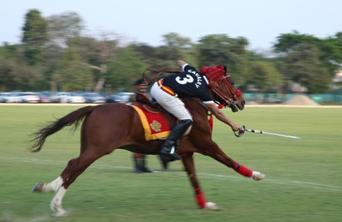 polo cup final in delhi