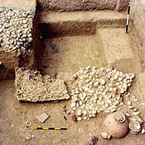 harappa relics