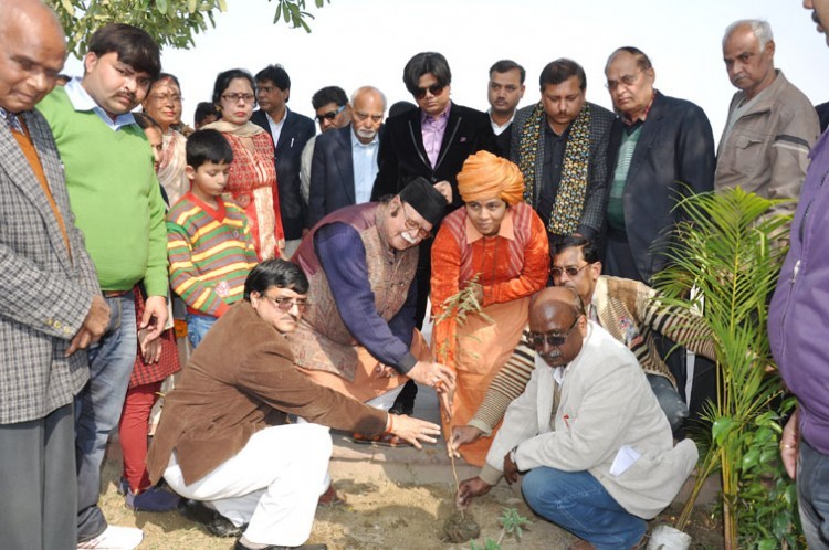 medicinal plantation