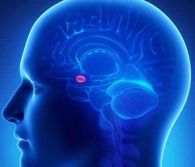 bhabha--chitra, deep brain stimuletr, mou