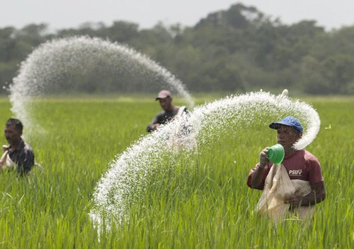 fertilizer projects