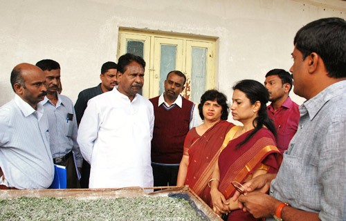 kavuru dambasiva rao visiting the chawki rearing centre