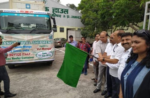 the first consignment of mango was sent to sea from lucknow to italy