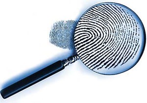 investigation