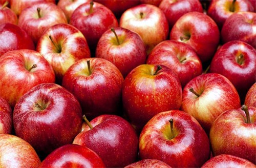 himachal's apples (file photo)