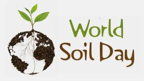 world soil day