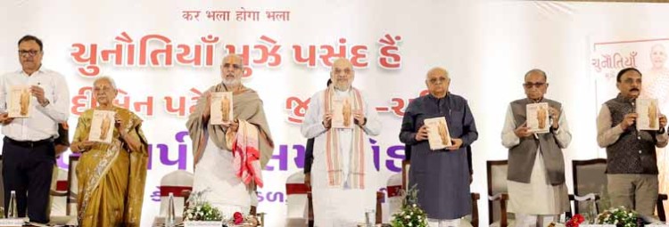 gujarati version of 'i like challenges' on anandiben released