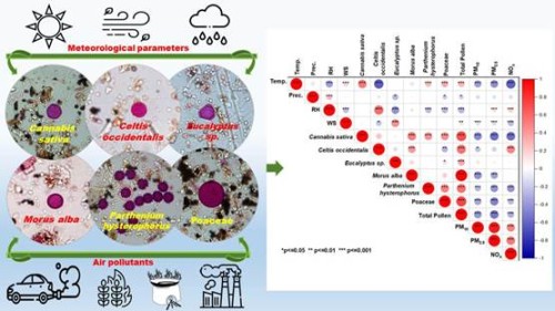 'air pollution and big changes in weather' study of scientists