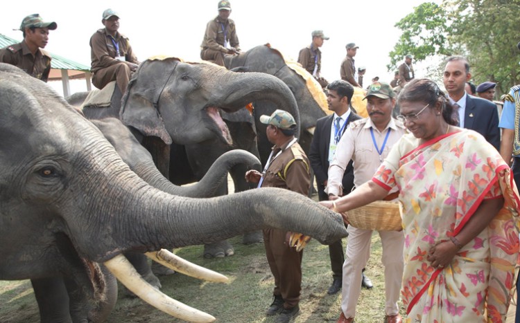 president inaugurates gaja utsav at kaziranga national park