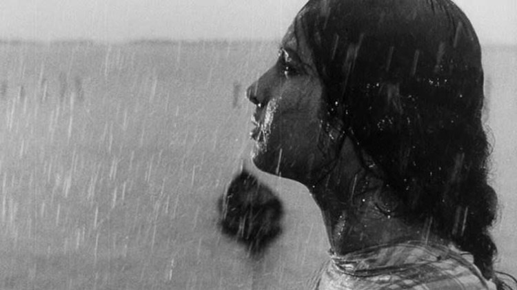 ritvik and uday's classic films in iffi
