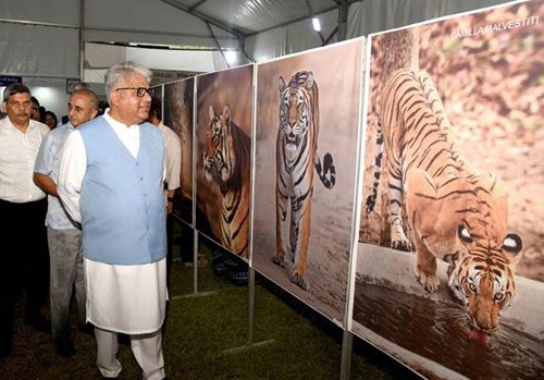 global tiger day celebration at national zoological park delhi