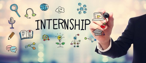 ndim, management students, internship in egypt