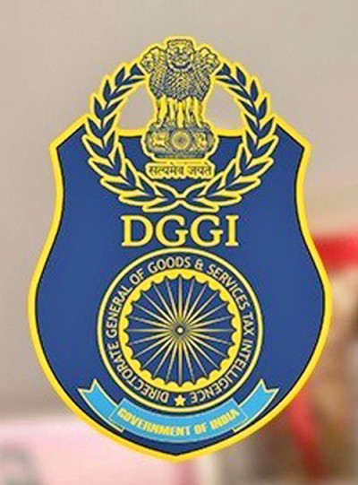 dggi logo