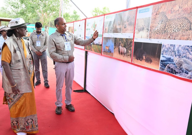 president inspected cheetah management at kuno park