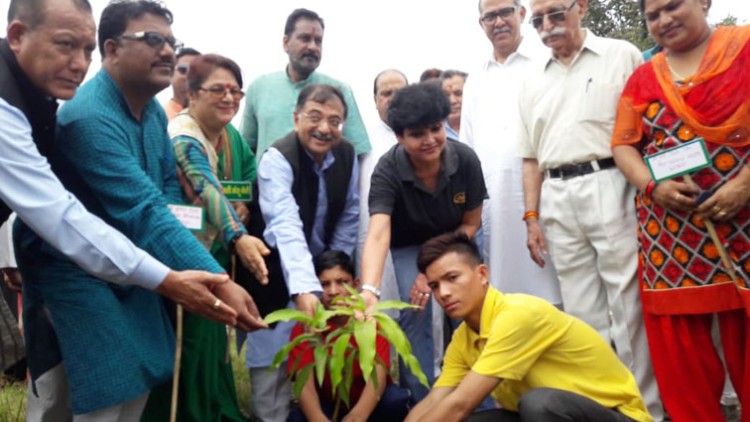 tree festival in tribal school of uttarakhand