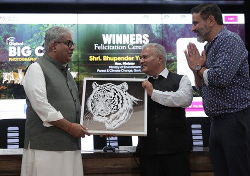25 winners of the global big cats photography contest honored