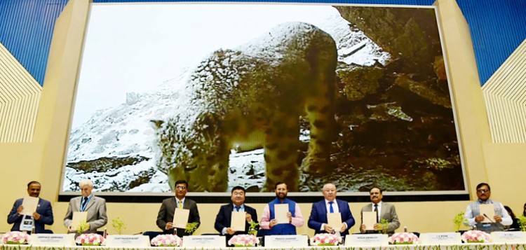 international snow leopard day program