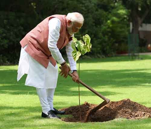 pm's tree plantation campaign with vermilion plant