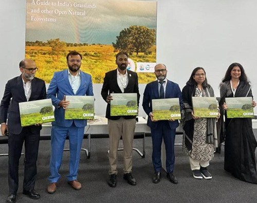 a guide to india's grasslands: open natural ecosystems