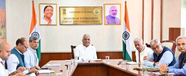 forest minister bhupender yadav conducts high-level review of cheetah project