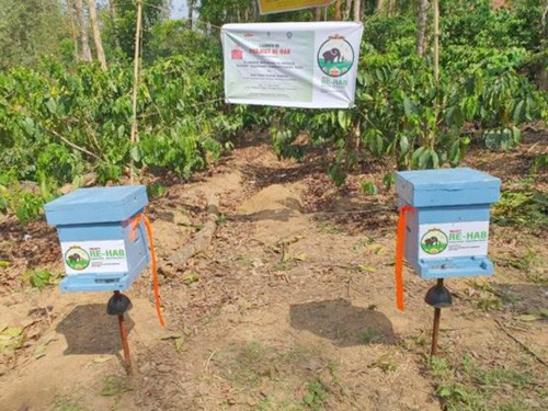 project re-hab of kvic