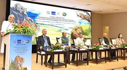 deliberating on livelihood and income generation in tiger-dominant areas