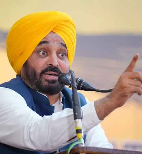 bhagwant singh mann (file photo)