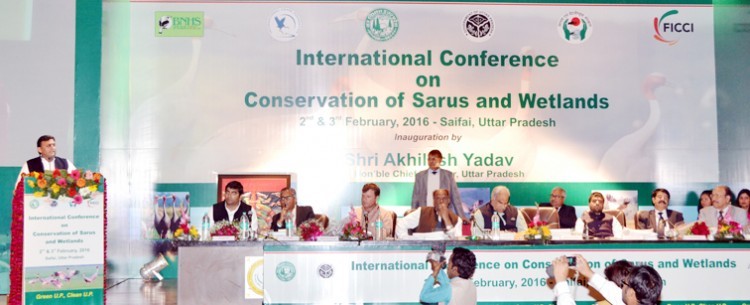 international seminar at saifei on stork protection in up