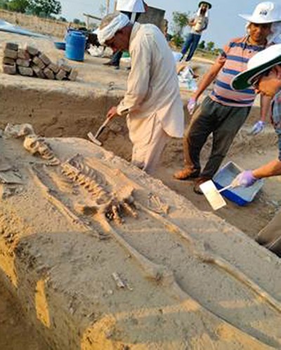 human skeletal remains found at rakhigarhi