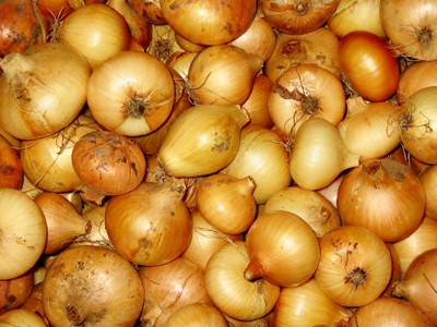प्याज-onions