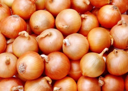 प्याज-onion