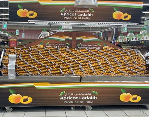 apricots from ladakh exported to dubai