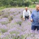 भद्रवाह में लैवेंडर स्टार्टअप क्रांति-जितेंद्र सिंह