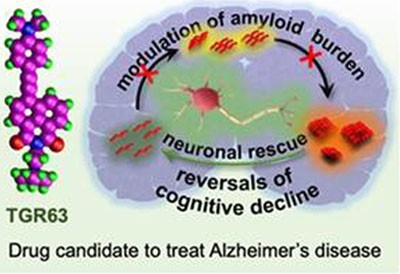 scientists develop break of alzheimer's disease