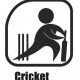 भारत में हाशिये पर जा रहा घरेलू क्रिकेट