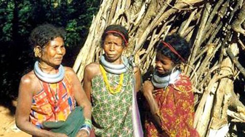 trifed initiatives for empowerment of tribals