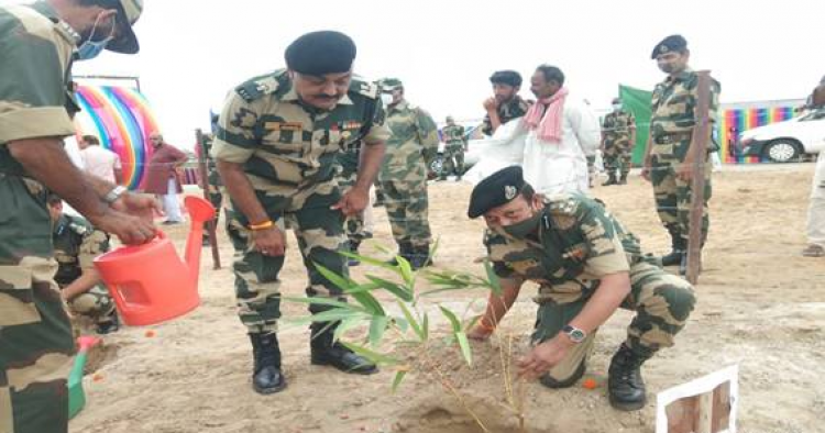 bsf's tree plantation program near longewala post