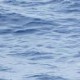 भारतीय समुद्र में तैरता संकेतक तैनात