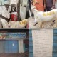 बकरे की पीठ पर लिखा राम बना अभयदान!