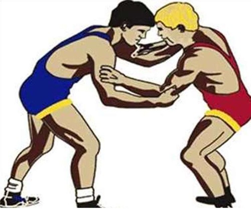 railways will open world class wrestling academy (file photo)