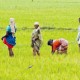 कृषि मज़दूरों का मूल्‍य सूचकांक बढ़ा