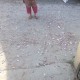उत्तराखंड निकाय चुनाव की रंजिशें शुरू