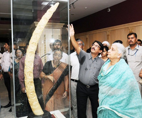 chandresh kumari katoch going round after reopening the gallery of decorative arts i at national museum