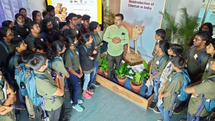 cheetah awareness program of natural history museum